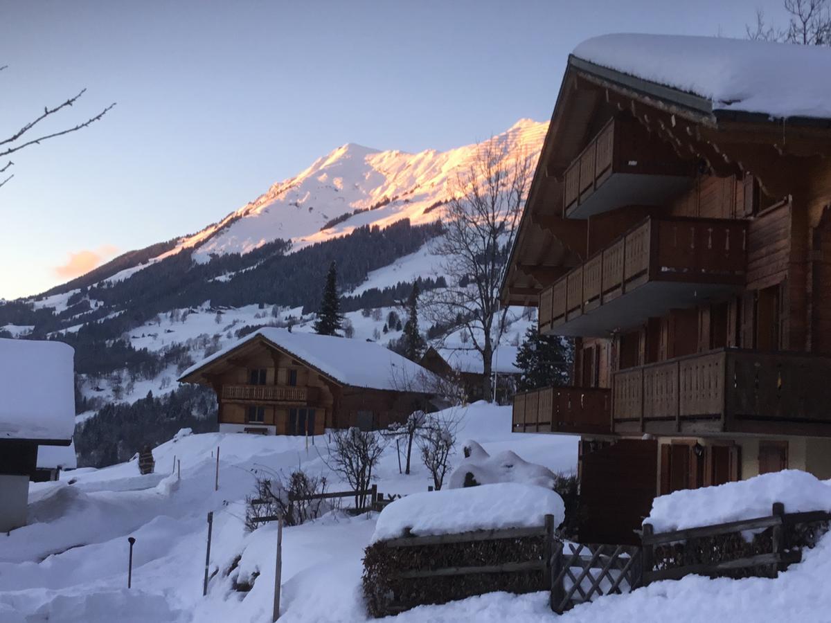 Apartamento Le Sapin Les Diablerets Exterior foto